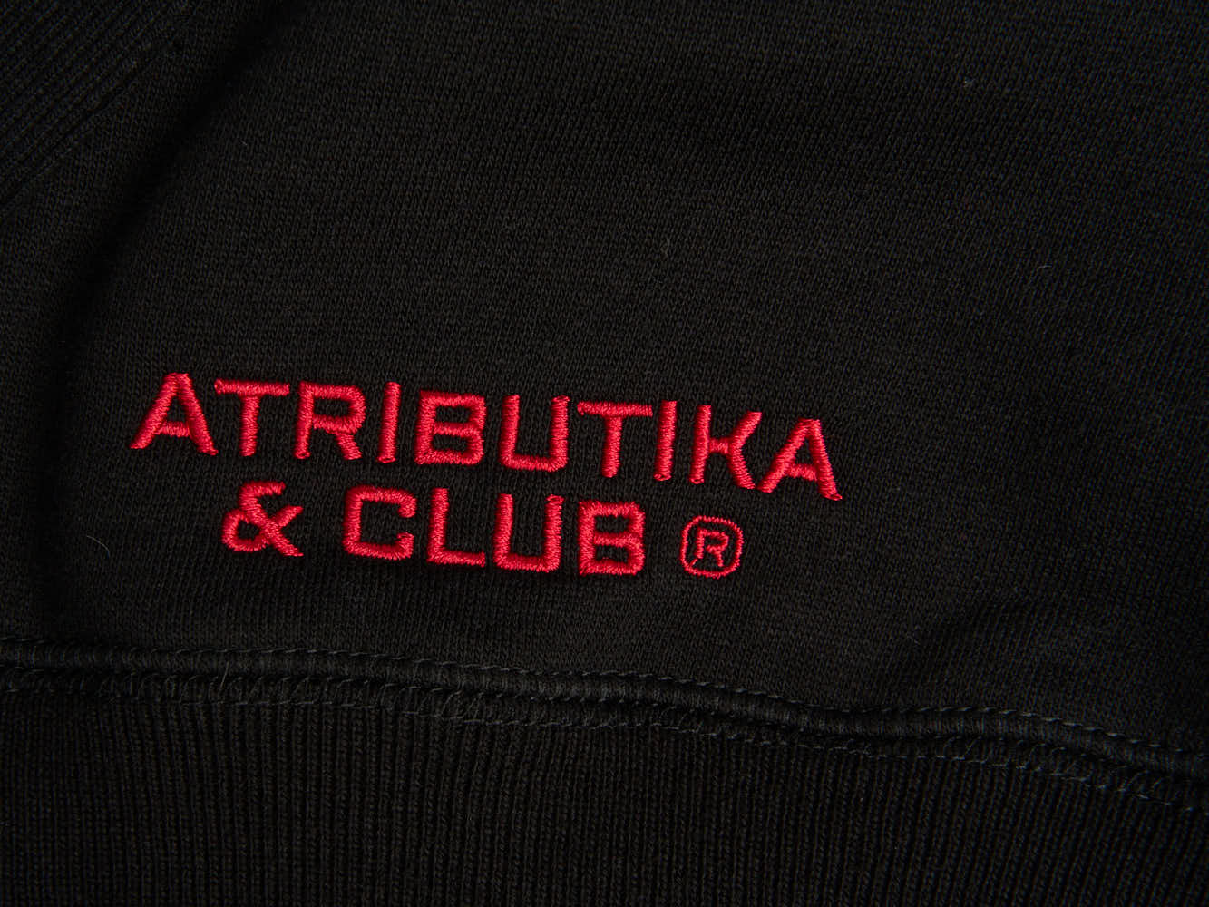 Толстовка ХК Авангард